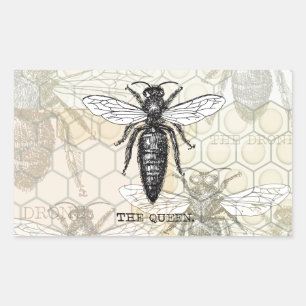 Pegatina Rectangular Ilustración antigua de insecto bug abeja reina