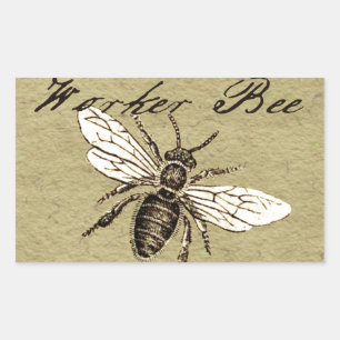 Pegatina Rectangular Ilustración Antigüedad Insecto Abeja Obrera Vintag