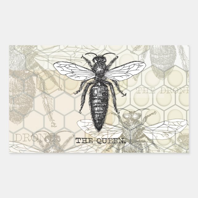 Pegatina Rectangular Ilustracion de antigüedades de insectos de Queen B (Anverso)