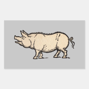 Pegatina Rectangular Ilustracion de época de cerda de cerdo
