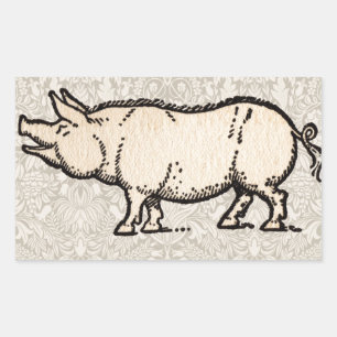 Pegatina Rectangular Ilustracion de época de cerda de cerdo