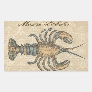 Pegatina Rectangular Ilustracion de langosta Antique Maine