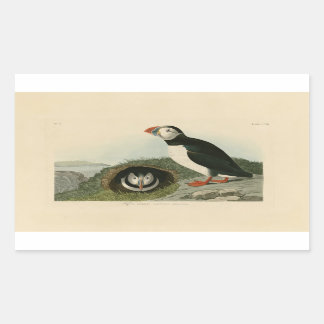 Pegatina Rectangular Ilustracion de Puffin de época