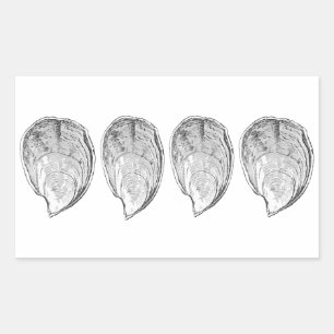 Pegatina Rectangular Ilustracion Oysters Olympia