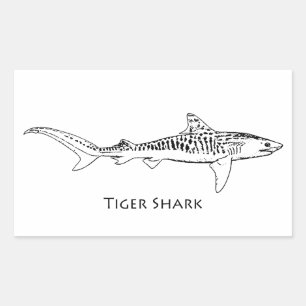 Pegatina Rectangular Ilustracion Tigre