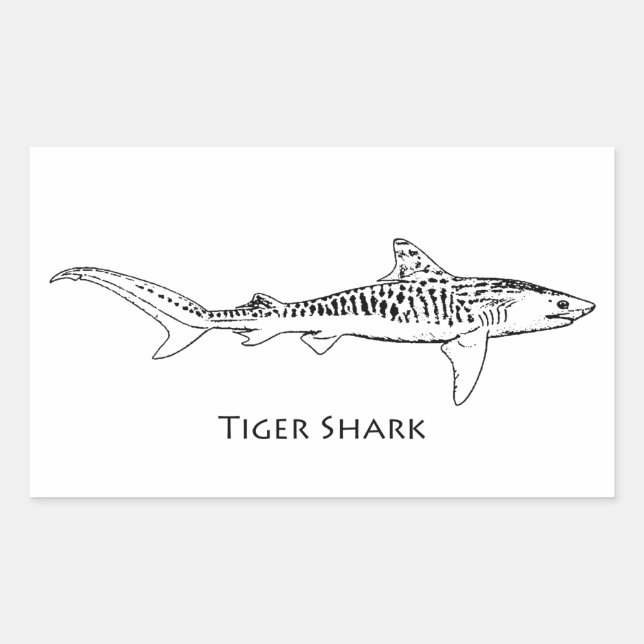 Pegatina Rectangular Ilustracion Tigre (Anverso)