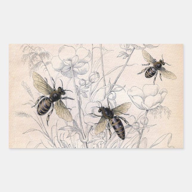 Pegatina Rectangular Impresión de arte de miel de abeja (Anverso)