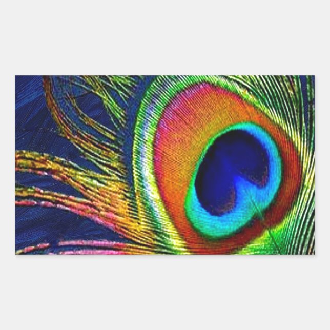 Pegatina Rectangular Impresión de pluma de pavo real colorida (Anverso)
