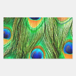Pegatina Rectangular Impresión de plumas de pavo real coloridas