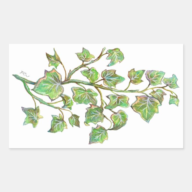 Pegatina Rectangular Inglés Ivy (Anverso)