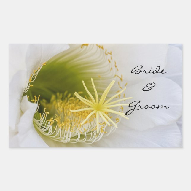 Pegatina Rectangular Interior de un cactus blanco en flor (Anverso)