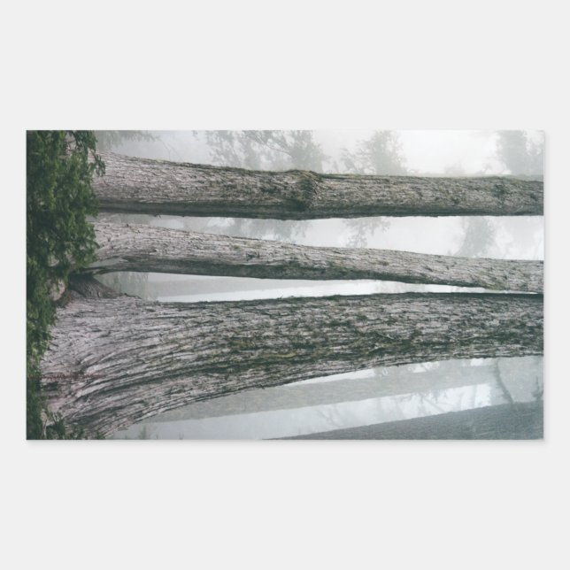 Pegatina Rectangular Invocar el bosque (Anverso)