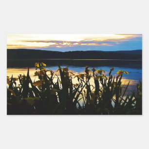 Pegatina Rectangular Iris amarillo en la orilla del lago Arrowhead
