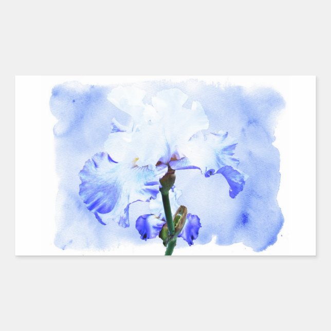 Pegatina Rectangular Iris Con Barba - Azul Y Blanco (Anverso)