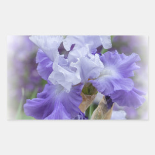 Pegatina Rectangular Iris con barba Regal - Púrpura y blanco