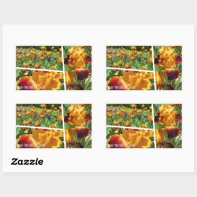 Pegatina Rectangular Iris "Michigan" [Sello recto] 長 方 形 ル (Hoja)