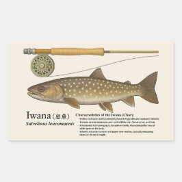 Pegatina Rectangular Iwana (Salvelinus leucomaenis) – English Illust