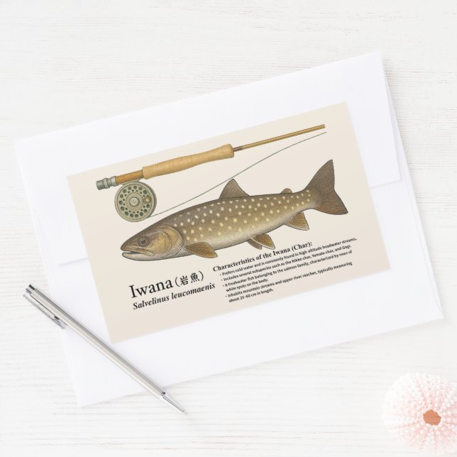 Pegatina Rectangular Iwana (Salvelinus leucomaenis) – Ilustración en in (Sobre)