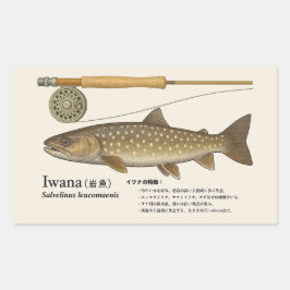 Pegatina Rectangular Iwana (Salvelinus leucomaenis) – Ilustración Japon
