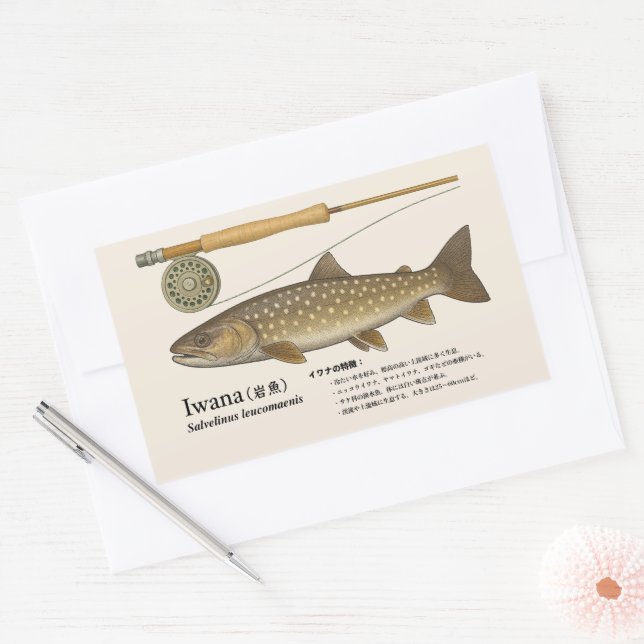 Pegatina Rectangular Iwana (Salvelinus leucomaenis) – Ilustración Japon (Sobre)