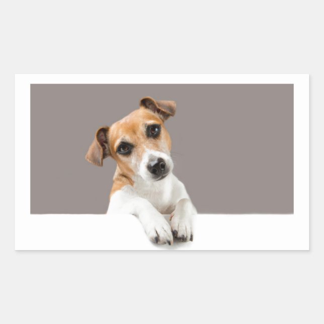 Pegatina Rectangular Jack Russell Puppy Dog Cute Adorable Sweet (Anverso)