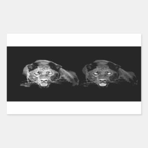 Pegatina Rectangular Jaguar blanco y negro