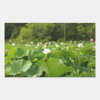 Pegatina Rectangular Jardín de verano de Lotus Flowers