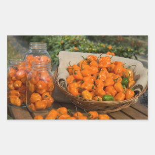 Pegatina Rectangular Jardín Habanero