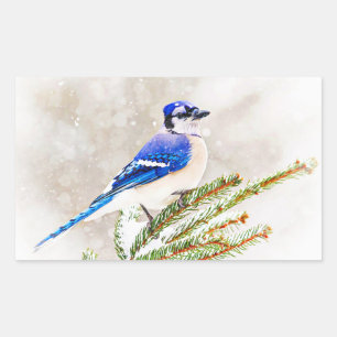 Pegatina Rectangular Jay azul en invierno