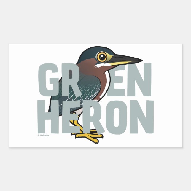 Pegatina Rectangular Jumbo Green Heron (Anverso)