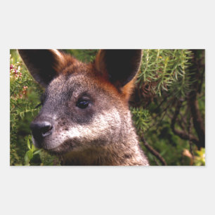 Pegatina Rectangular Kangaroo