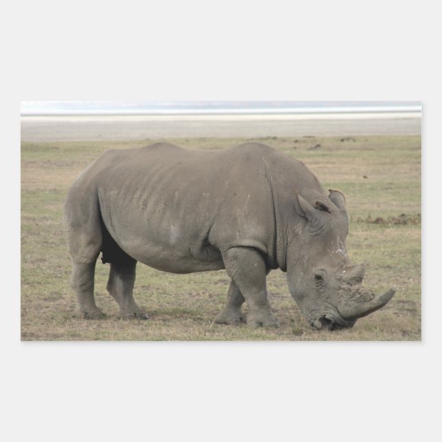 Pegatina Rectangular kenya rhino (Anverso)