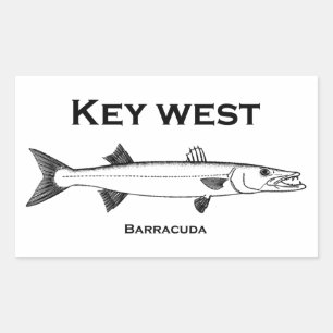 Pegatina Rectangular Key West Barracuda