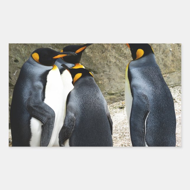 Pegatina Rectangular King Penguin (Anverso)
