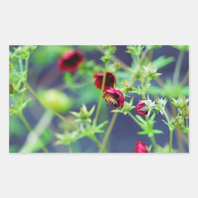 Pegatina Rectangular La abeja con la flor roja (Anverso)