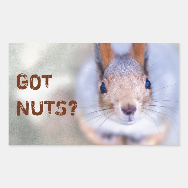 Pegatina Rectangular La ardilla te mira (Anverso)