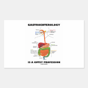 Pegatina Rectangular La Gastroenterología Es Una Profesión Muy Sana