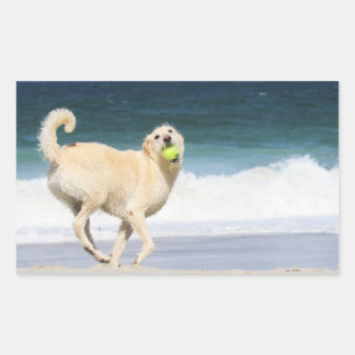 Pegatina Rectangular Labradoodle - Feliz Día en la Playa