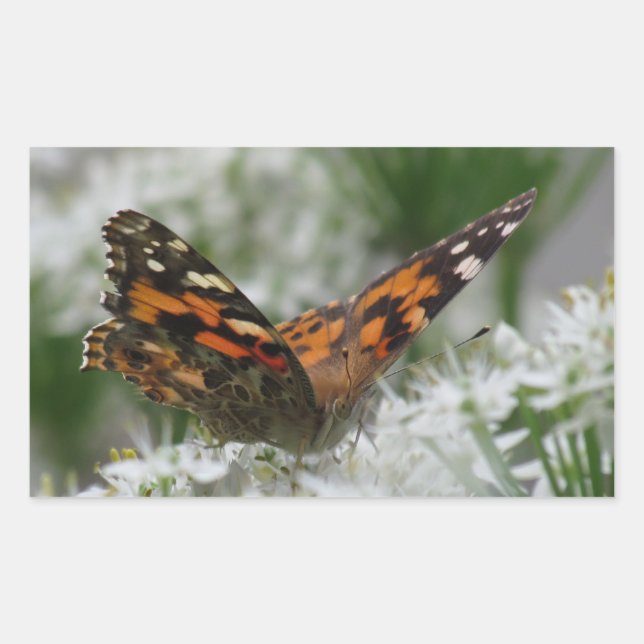 Pegatina Rectangular Lady Butterfly pintada (Anverso)