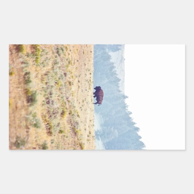 Pegatina Rectangular Lamar (Anverso)