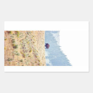 Pegatina Rectangular Lamar