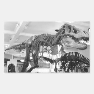 Pegatina Rectangular Lápiz de esqueleto T-Rex