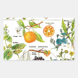 Pegatina Rectangular Larousse Fruit Naranja Pear Grape Garden Nature Ar