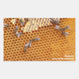 Pegatina Rectangular Las abejas en una colmena