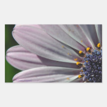 Las flores en el interior