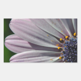 Pegatina Rectangular Las flores en el interior