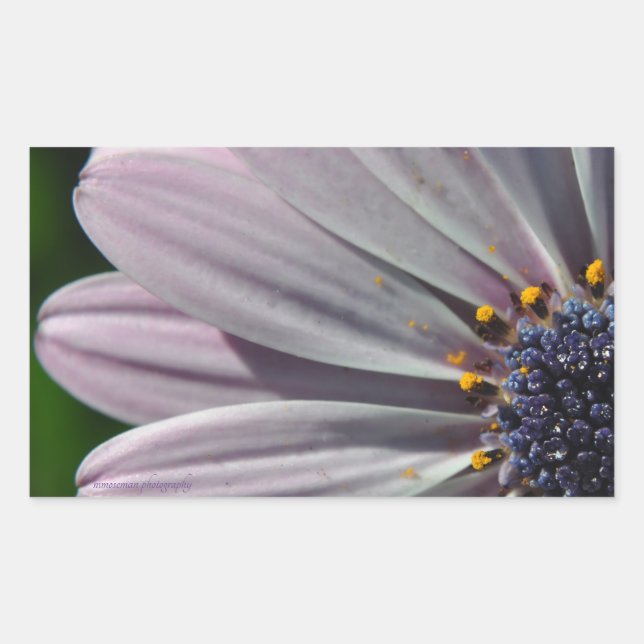 Pegatina Rectangular Las flores en el interior (Anverso)