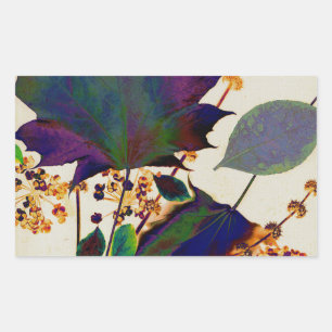 Pegatina Rectangular Las hojas de otoño en los colores reales