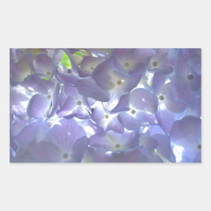 Pegatina Rectangular Lavender Hydrangeas