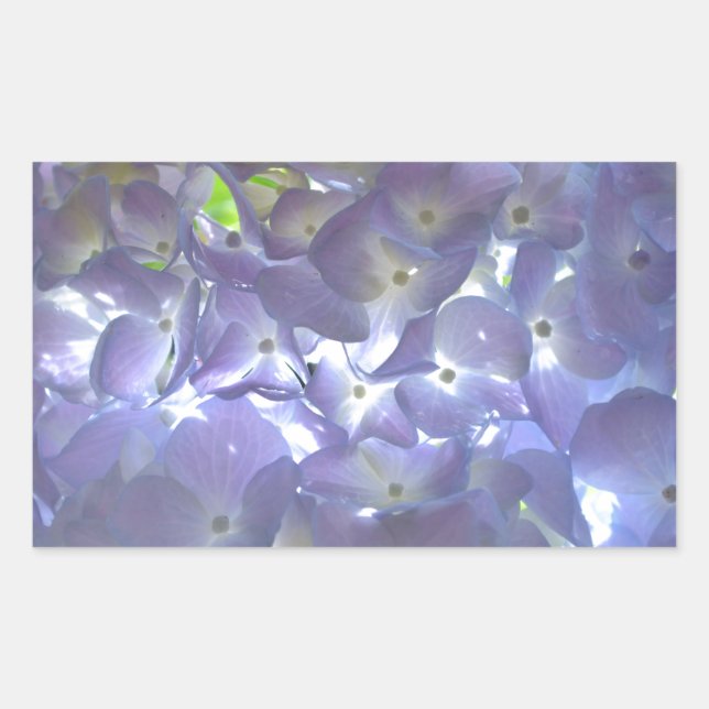 Pegatina Rectangular Lavender Hydrangeas (Anverso)